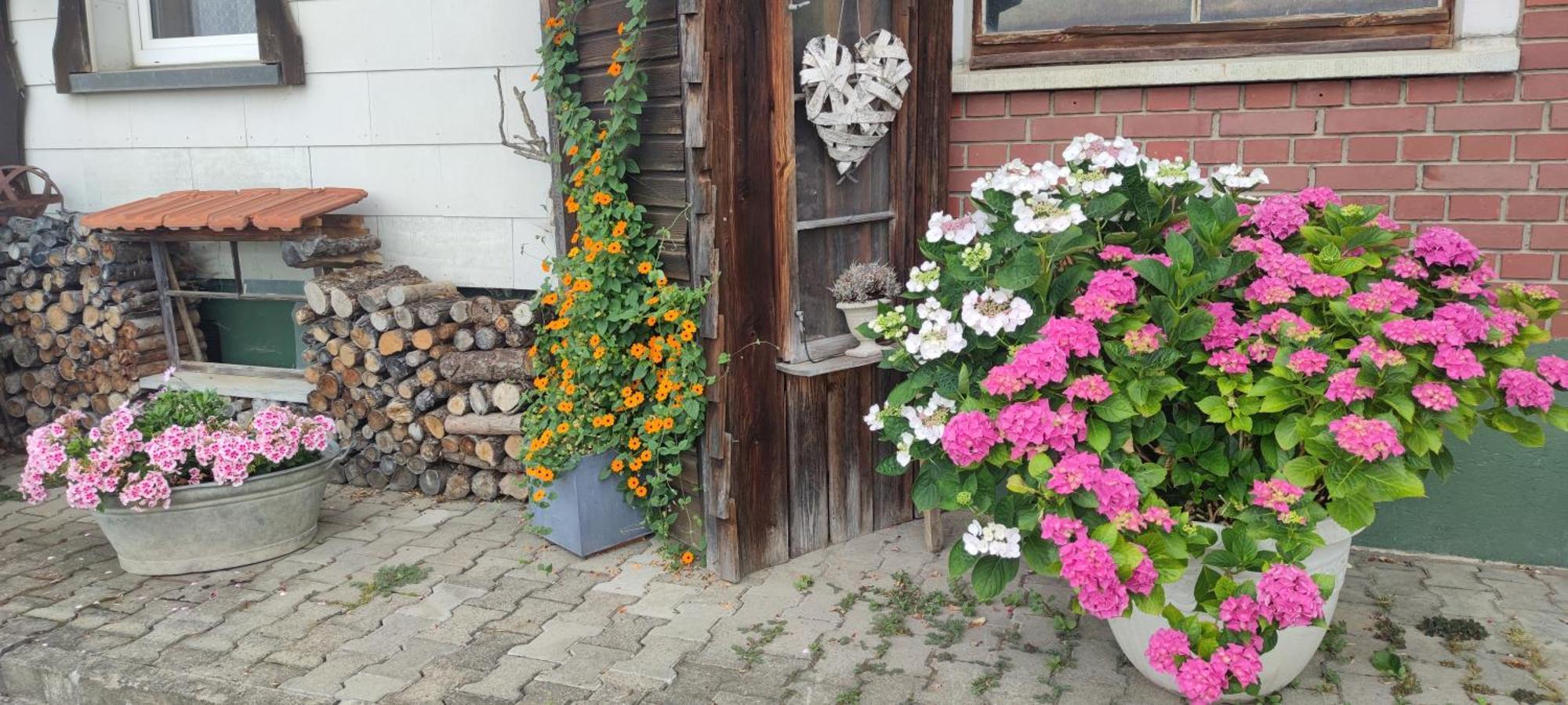 Gaestehaus Fechtig Hergensweiler Ngoại thất bức ảnh